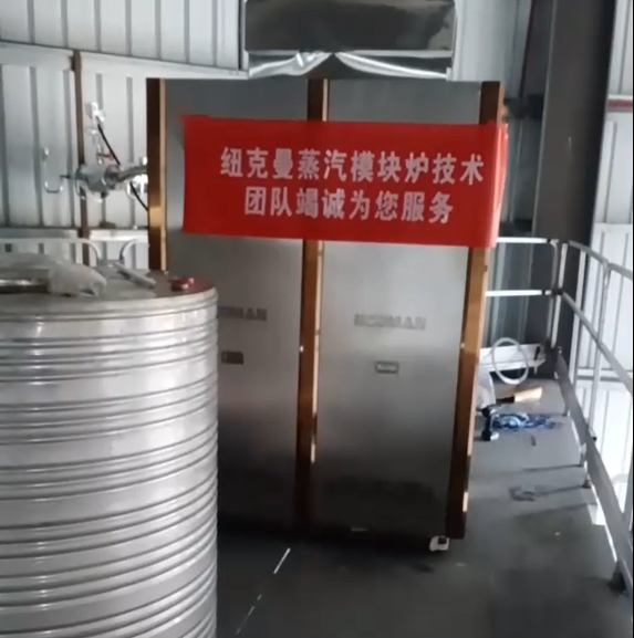東莞某廠采購(gòu)一臺(tái)紐克曼超低氮蒸汽模塊爐，設(shè)備已調(diào)試完畢!